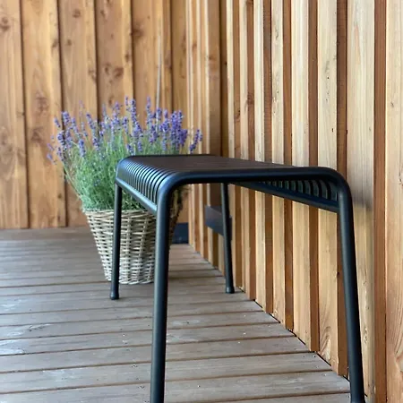 La Des 3pins Bassin Arcachon Villa *