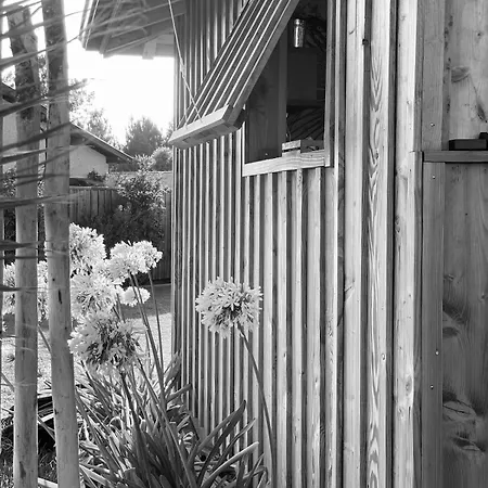 La Des 3pins Bassin Arcachon Biganos