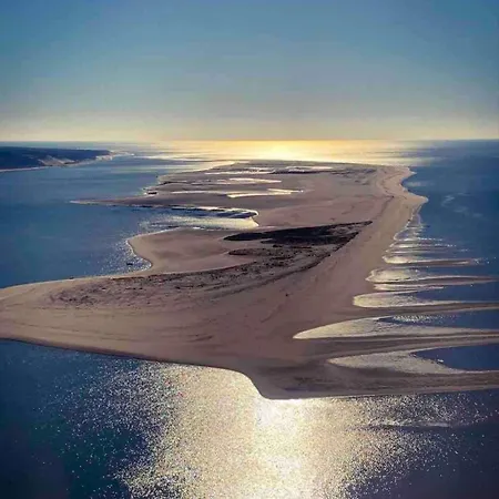 La Des 3pins Bassin Arcachon *